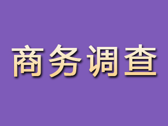 榆林商务调查